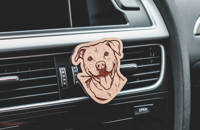 Your Dog Frshslabs Clip