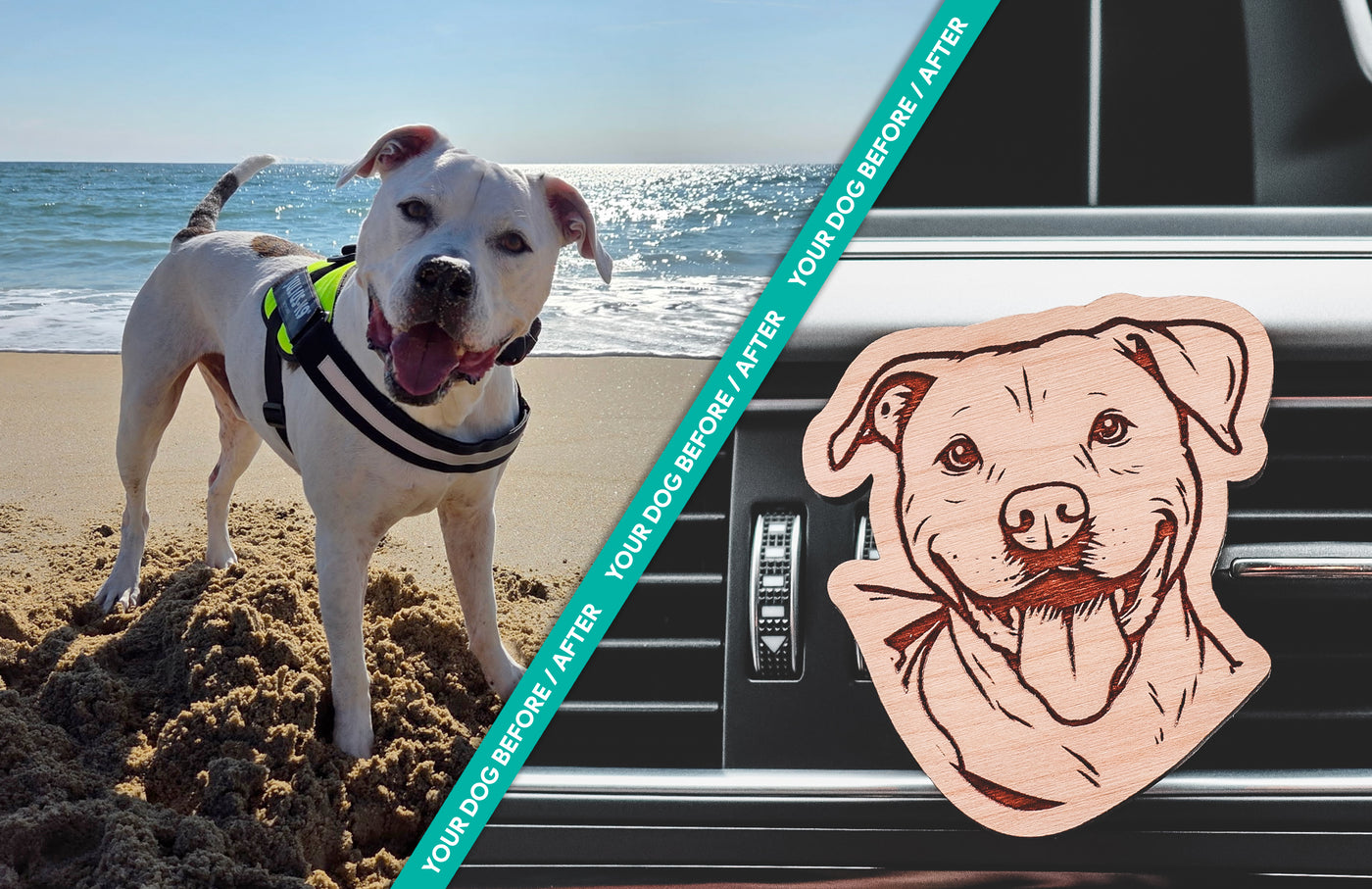 Your Dog Frshslabs Clip